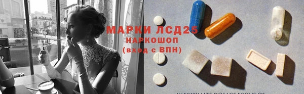 сатива Снежногорск
