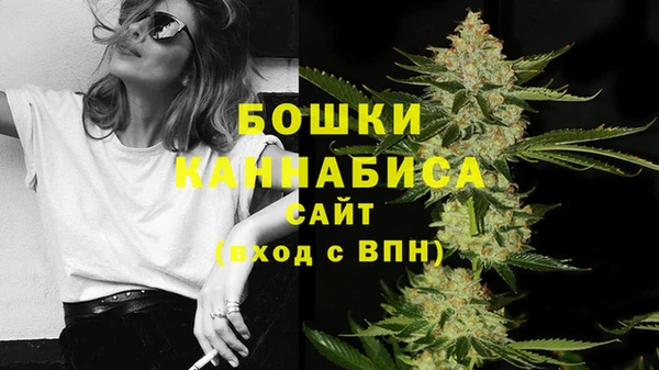 амф Сосновоборск