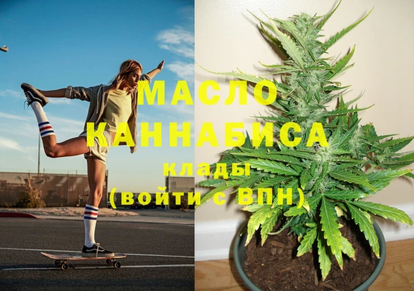 сатива Снежногорск