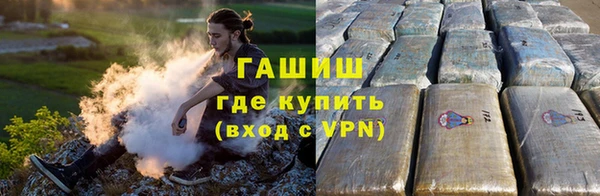 сатива Снежногорск