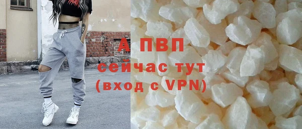 гидра Сосновый Бор