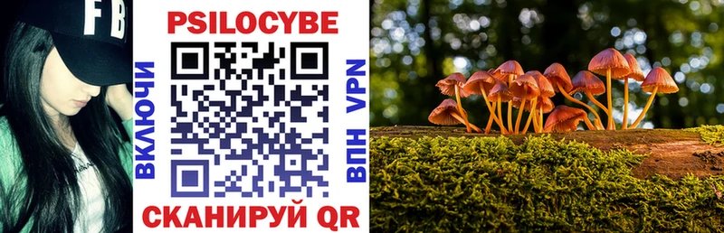 Псилоцибиновые грибы Magic Shrooms  Суровикино 